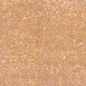 Gạch lát nền Viglacera 60x60 TS2-610
