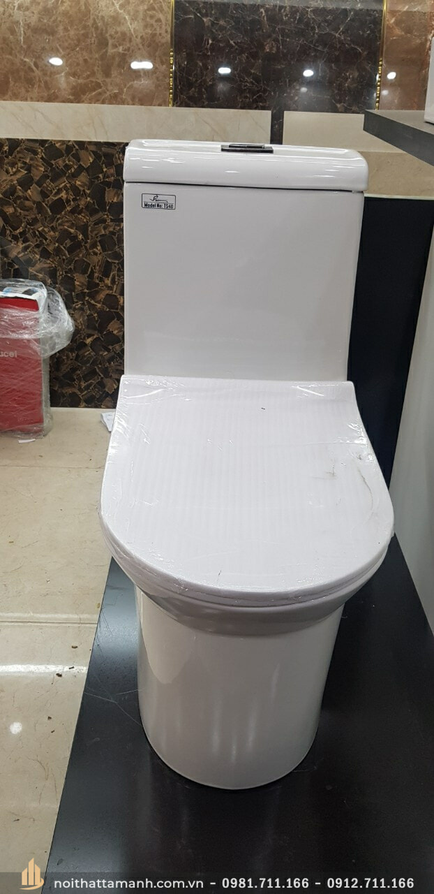 Mẫu chụp tại showroom Tâm Anh Bồn cầu toilet Bancoot liền khối TS40