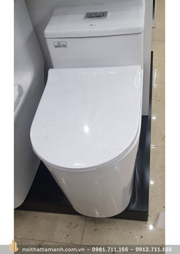 Mẫu chụp thực tế Bồn cầu toilet Bancoot liền khối TS73