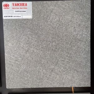 Mẫu Gạch lát nền Taicera GC299x299-058 tự chụp tại showroom