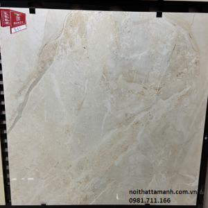 Gạch Ấn Độ 80x80 EMPRADOR LAMOS