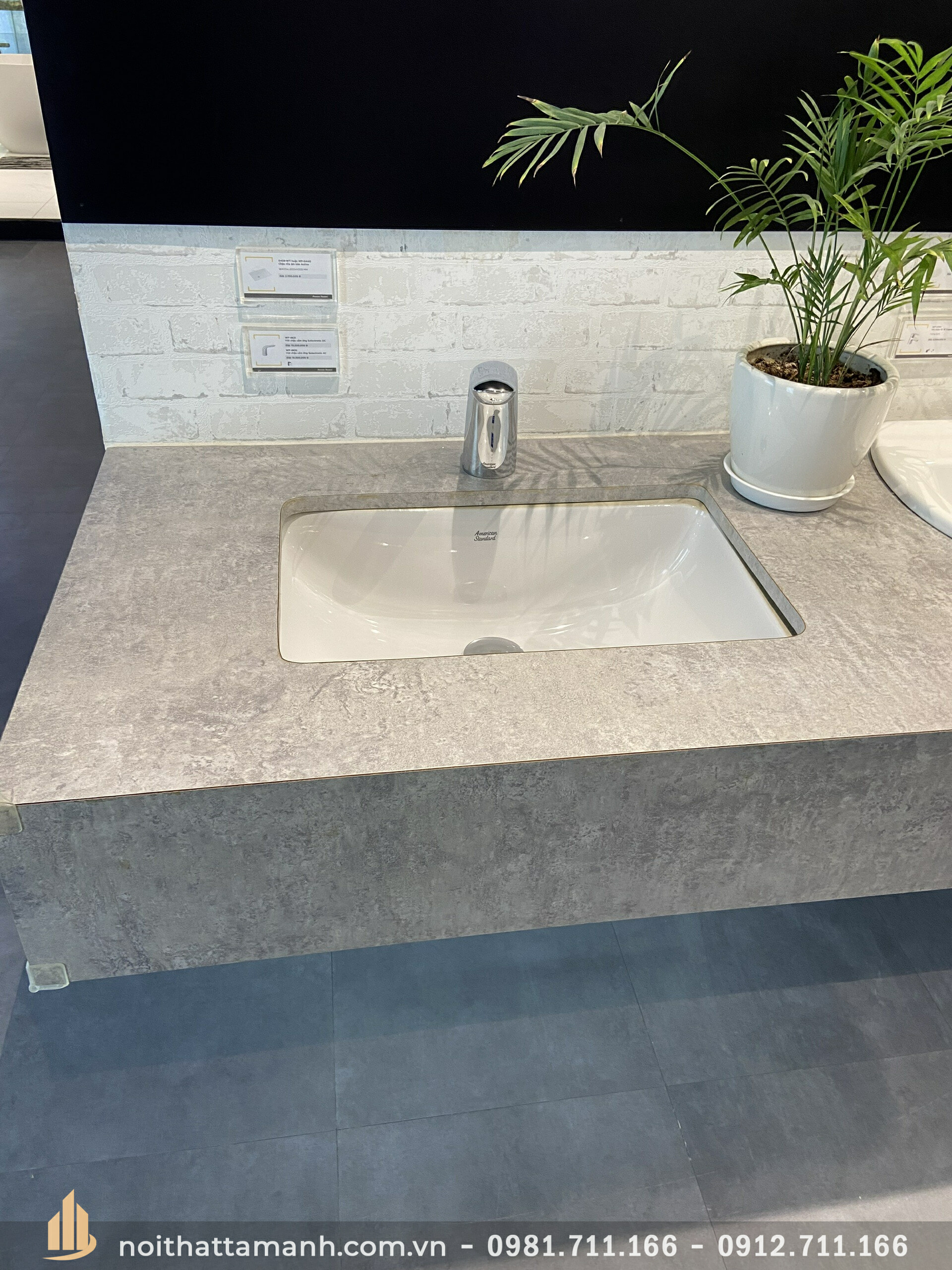 Chậu rửa mặt Đặt Bàn American WP-0440
