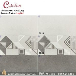 Phối cảnh Gạch ốp tường Catalan 30x60 3929