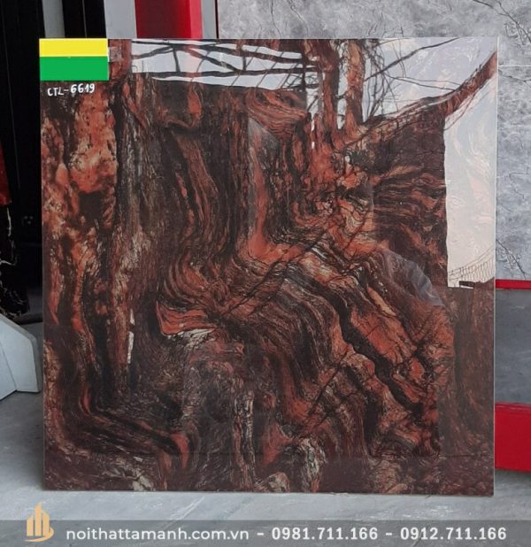 Mẫu chụp thực tế Gạch lát nền Catalan 60x60 6619