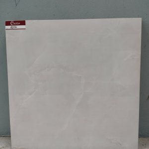 mẫu Gạch lát nền Catalan 80x80 8052 chụp thực tế tại showroom Tâm Anh