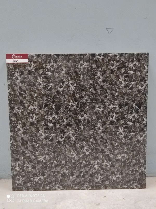 mẫu chụp thực tế Gạch lát nền Catalan 80x80 8085 tại showroom Tâm Anh