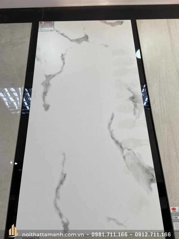 Mẫu Gạch lát nền Taicera G12045 60x120 chụp thực tế tại showrom Tâm Anh