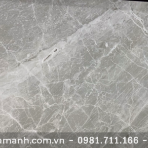 Gạch ốp lát Viglacera Platinum 30x60 CBP-3607