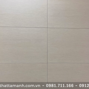 Gạch ốp lát Viglacera Platinum 30x60 PL3601