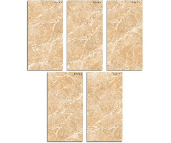 Gạch ốp lát Viglacera 60x120 ECO-D61203