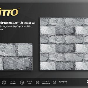 Phối cảnh Gạch ốp tường VITTO 25x50 1306