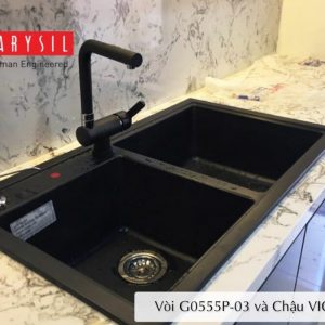 Vòi rửa bát Carysil G-0555P-03