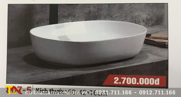 Chậu lavabo sứ nghệ thuật Gia Mỹ 807-5