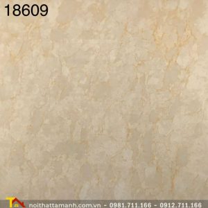 Gạch Ấn Độ 80x80 18609 