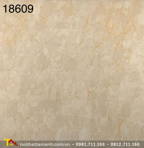 Gạch Ấn Độ 80x80 18609 