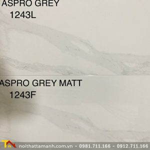 Gạch Ấn Độ 30x60 Aspro Grey 1243L+Aspro Grey Matt 1243F