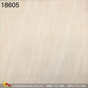 Gạch Ấn Độ 80x80 18605