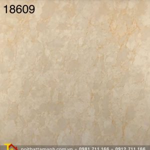 Gạch Ấn Độ 80x80 18609