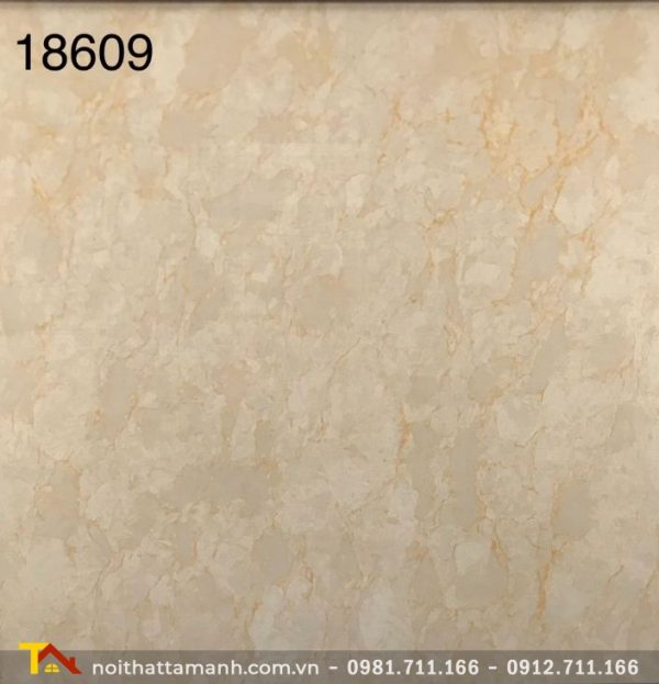 Gạch Ấn Độ 80x80 18609
