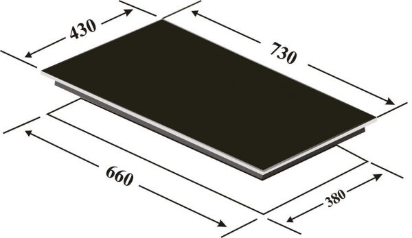 Bếp điện từ Canzy CZ 162