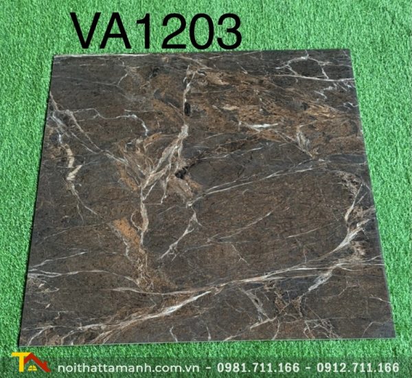Gạch Ấn Độ 120x120 VA-1203
