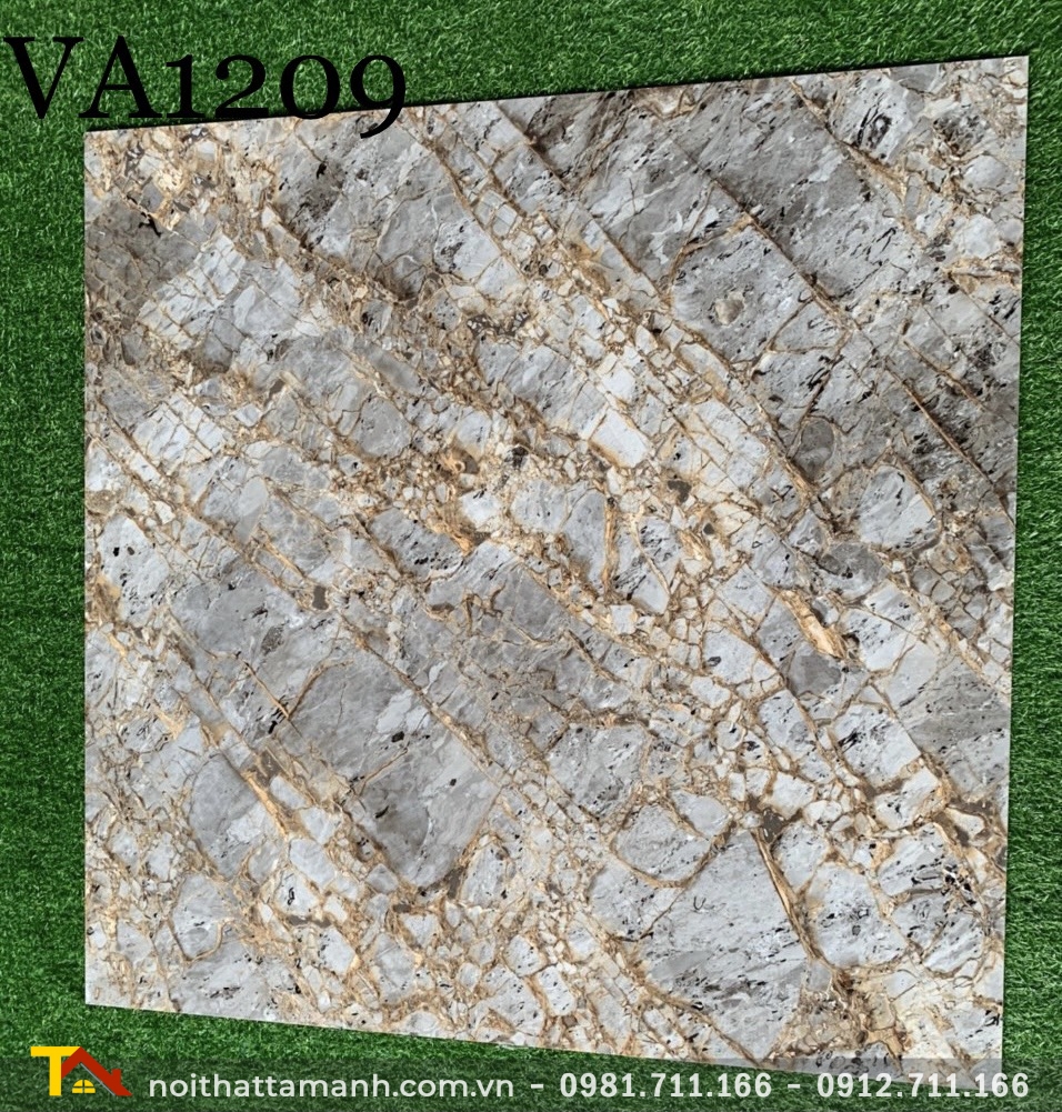 Gạch Ấn Độ 120x120 VA-1209 