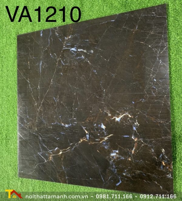Gạch Ấn Độ 120x120 VA-1210