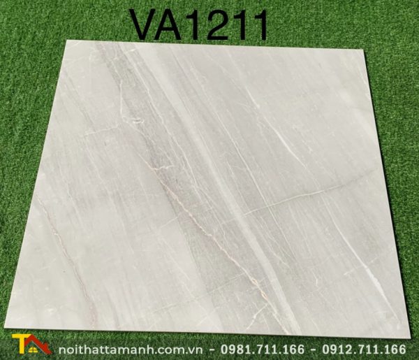 Gạch Ấn Độ 120x120 VA-1211