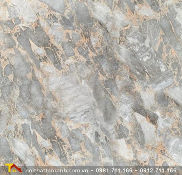 Gạch Ấn Độ 120x120 VA-1214