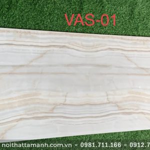 Gạch Ấn Độ 60x120 VAS-01
