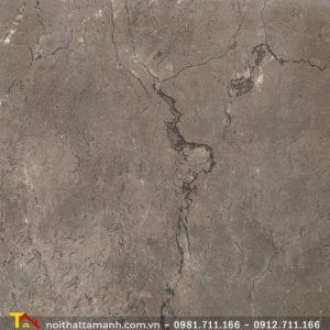 Gạch Ấn Độ 60x60 MABR