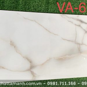 Gạch Ấn Độ 60x120 VA - 6228