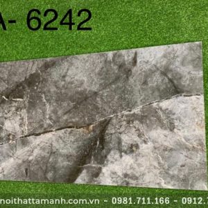 Gạch Ấn Độ 60x120 VA - 6242