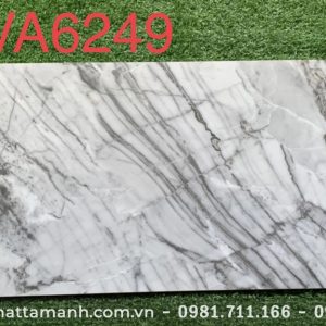 Gạch Ấn Độ 60x120 VA-6249