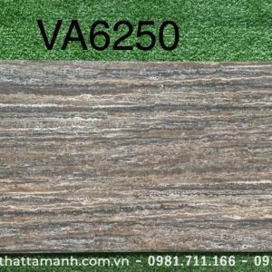 Gạch Ấn Độ 60x120 VA-6250