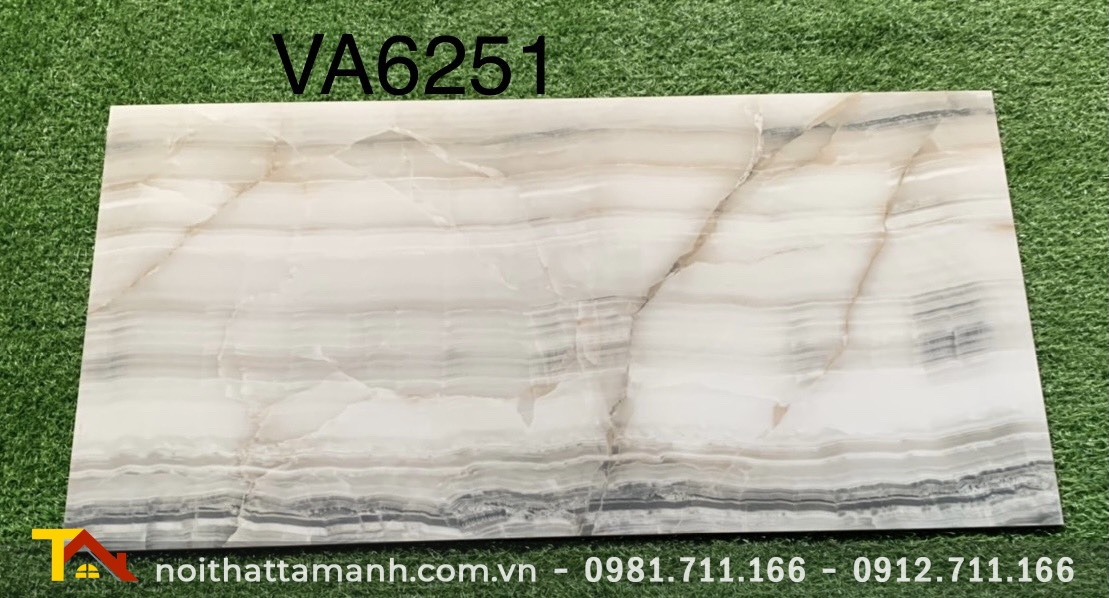 Gạch Ấn Độ 60x120 VA-6251 