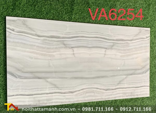 Gạch Ấn Độ 60x120 VA-6254