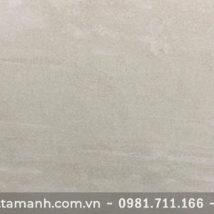 Gạch Đồng Tâm 30x60 3060 SAHARA 005