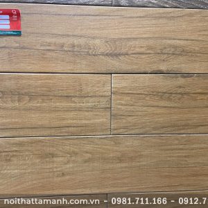 Gạch Royal 15x60 VG 15666