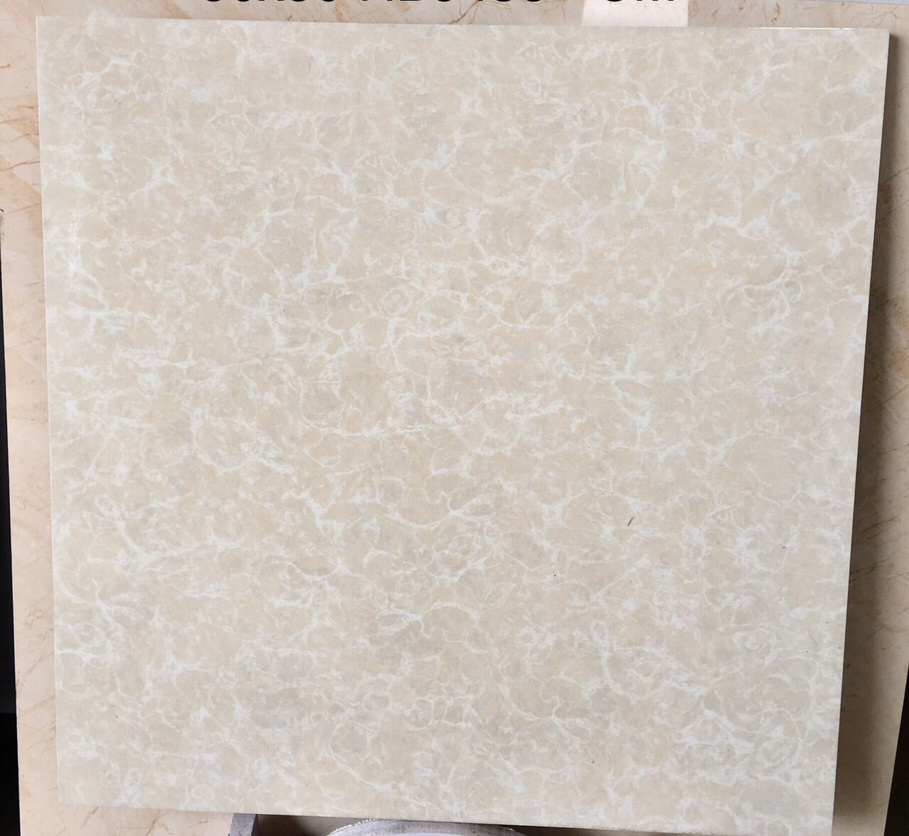 Gạch ốp lát Prime 50x50 9438