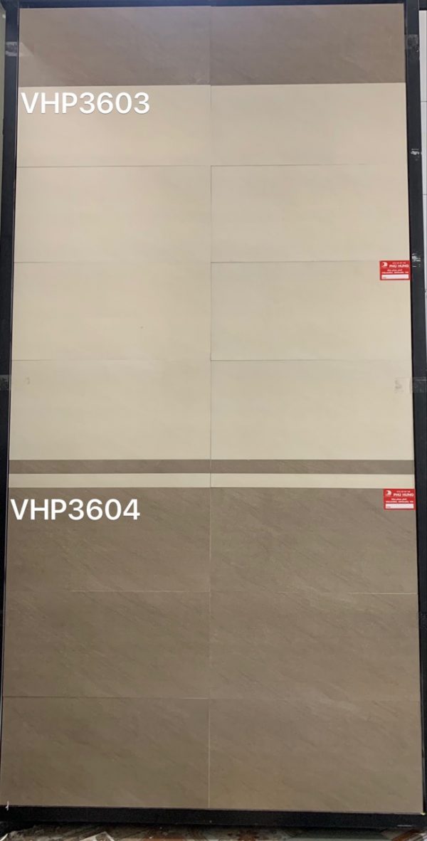 Gạch ốp lát Viglacera 30x60 VHP3603