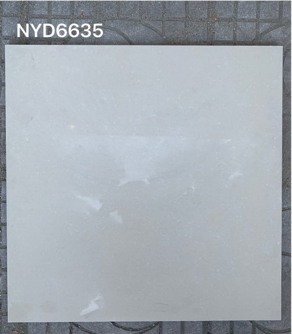 Gạch ốp lát Viglacera 60x60 NYD6635