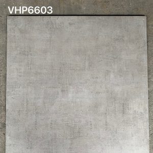 Gạch ốp lát Viglacera 60x60 VHP6603