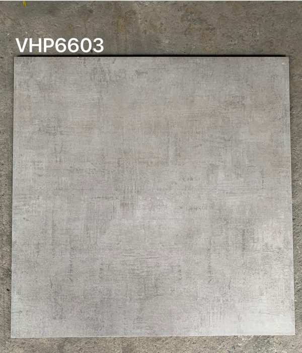 Gạch ốp lát Viglacera 60x60 VHP6603