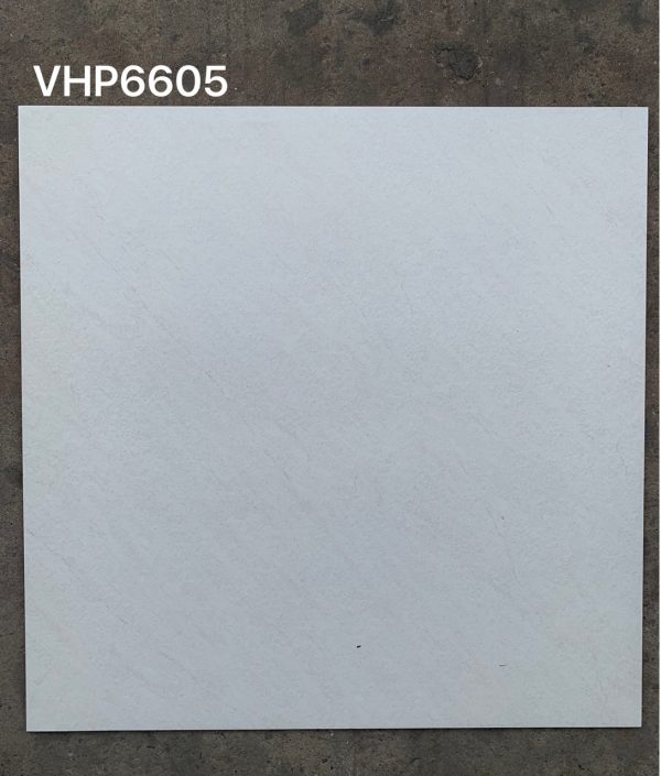 Gạch ốp lát Viglacera 60x60 VHP6605