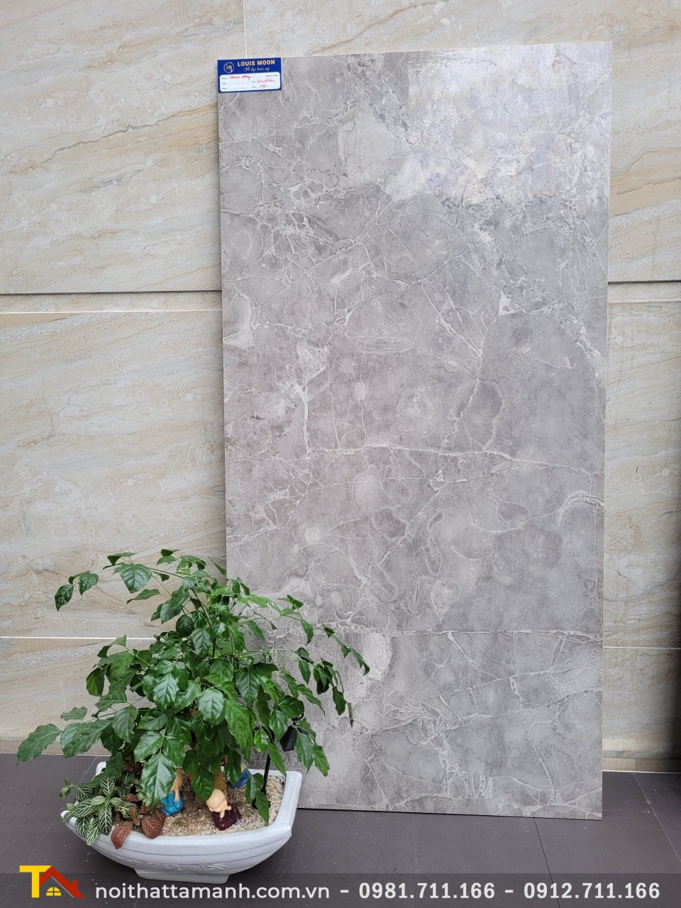 Gạch Ấn Độ 60x120 Stonice Grey