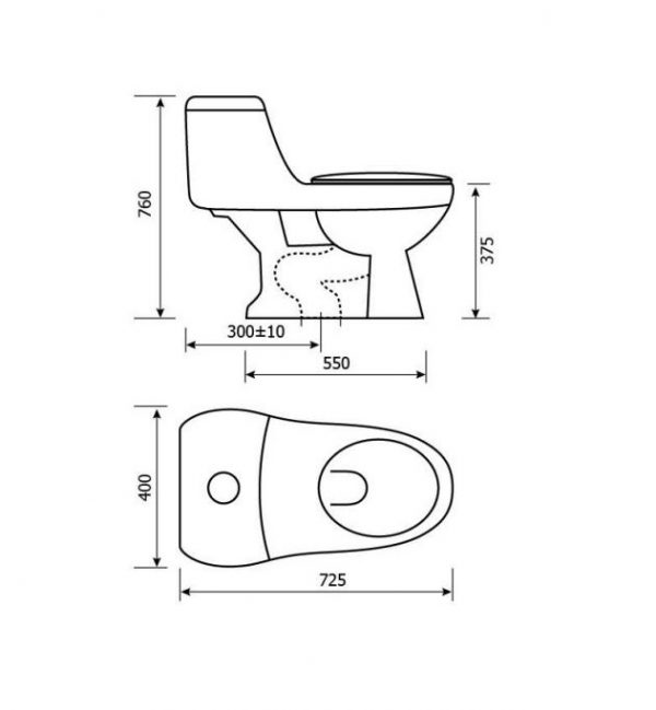 Bồn cầu nắp rửa điện tử Hảo Cảnh 1007