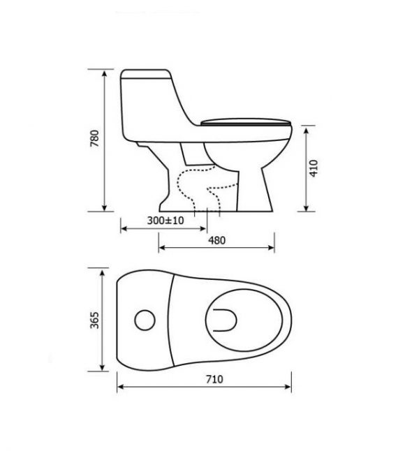 Bồn cầu nắp rửa điện tử Hảo Cảnh 1016