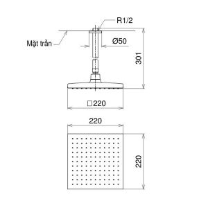 Bản vẽ bát sen gắn trần TOTO DB144-1CR